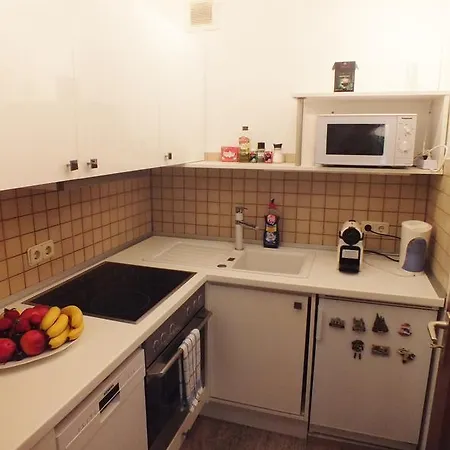 Fantastic Modern With Large Private Terrace Norimberga